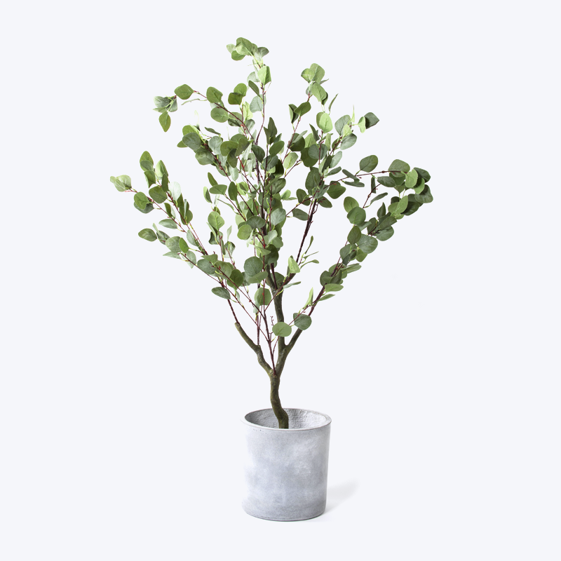 Falsk grønn plante og potte Eucalyptus-s