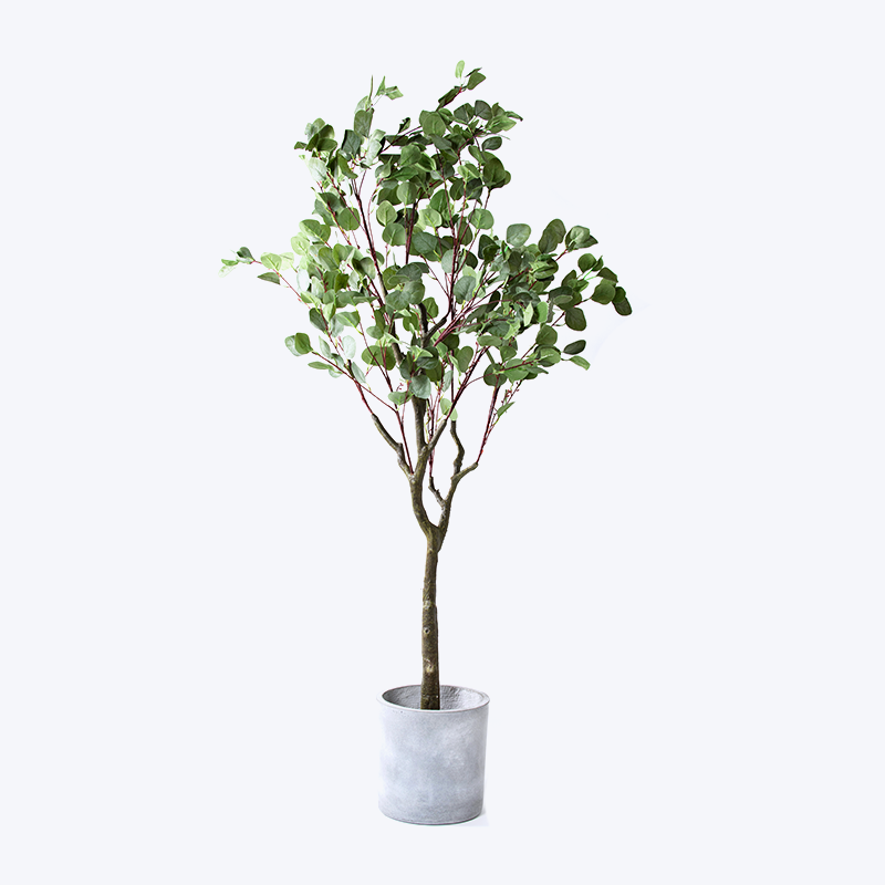 Falsk grønn plante og potte Eucalyptus-m